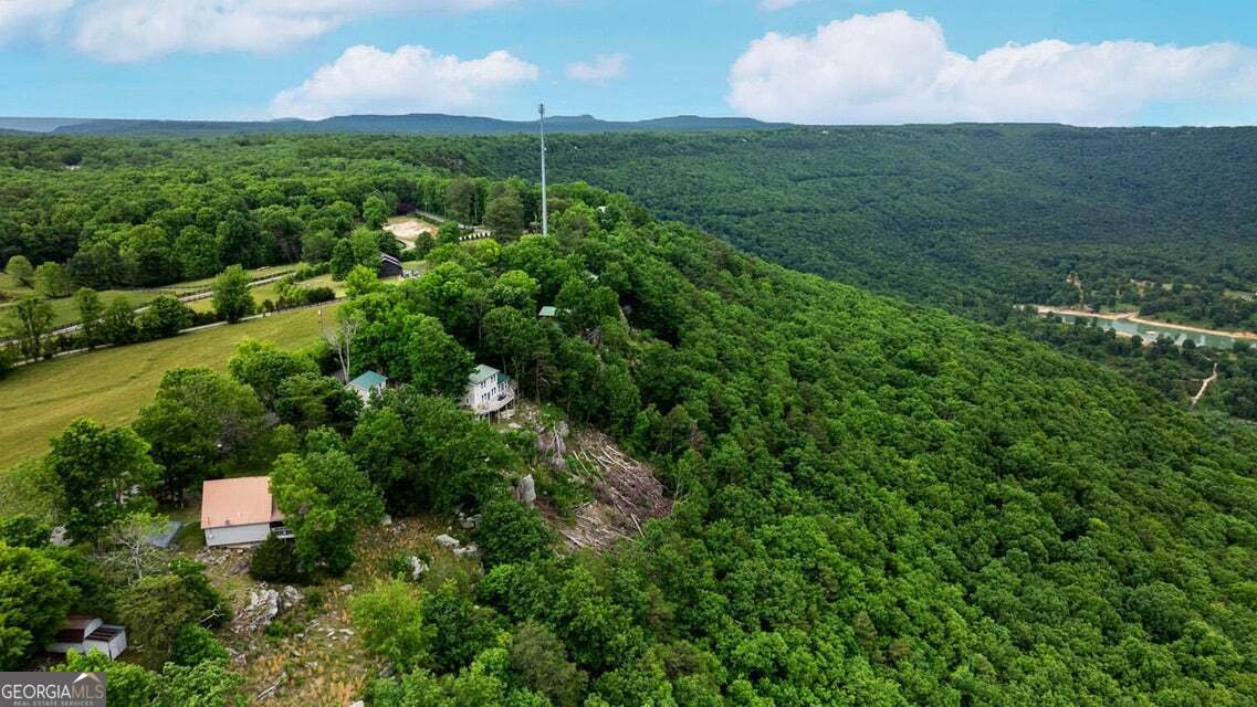 983 Sunset Drive Rising Fawn - Photo 36