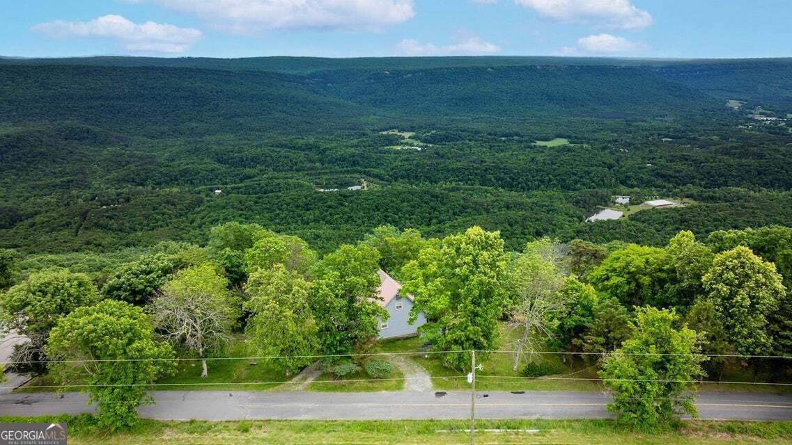 983 Sunset Drive Rising Fawn - Photo 37