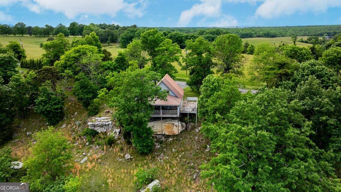 983 Sunset Drive Rising Fawn - Photo 40