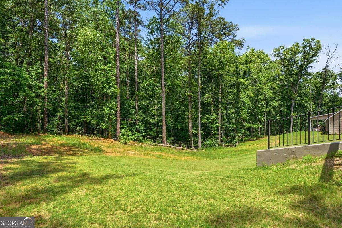 6030 Crowley Drive Douglasville - Photo 16