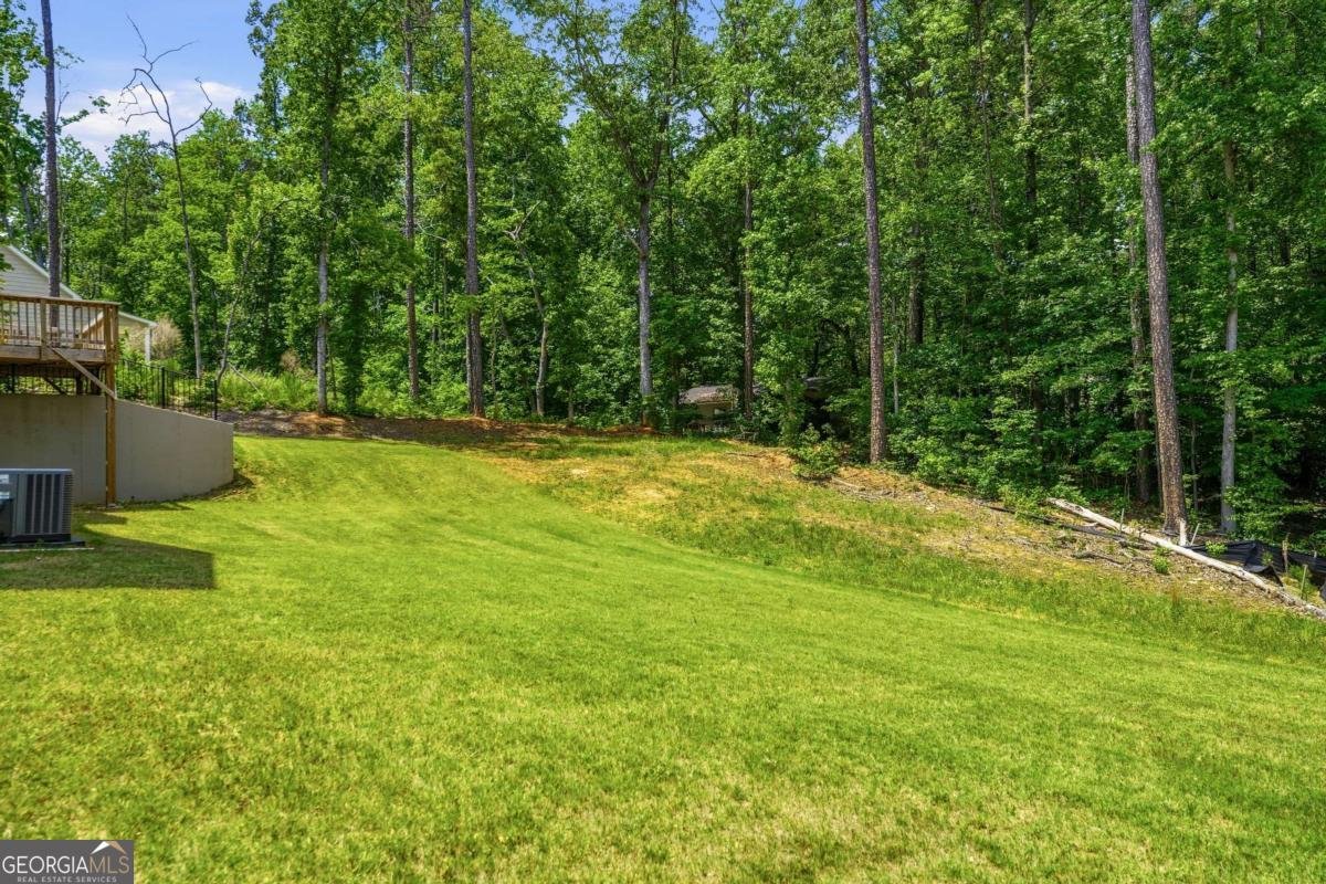 6030 Crowley Drive Douglasville - Photo 17