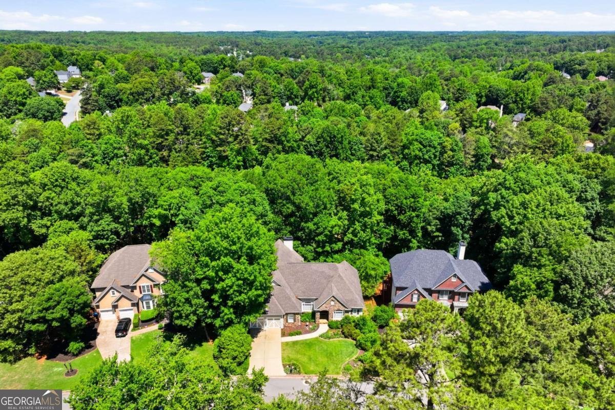 2490 Wild Iris Lane Dacula - Photo 85