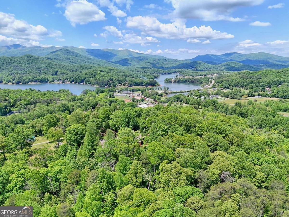 792 Bugscuffle Road Hiawassee - Photo 72