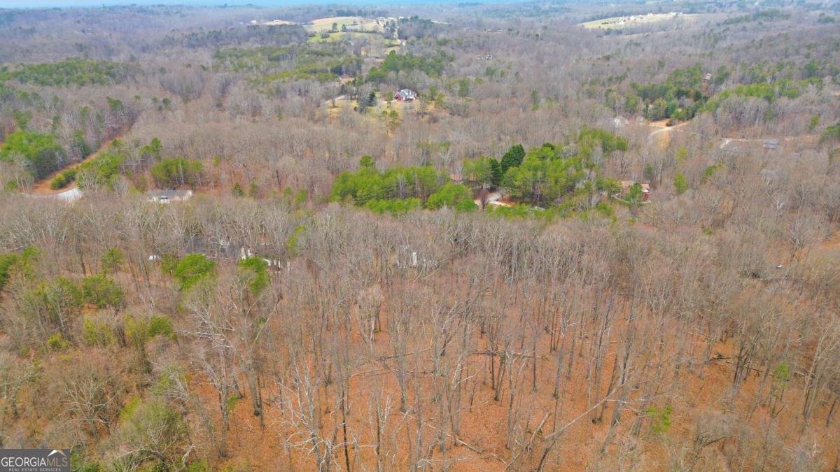 158 Ridge Lane Lula - Photo 7