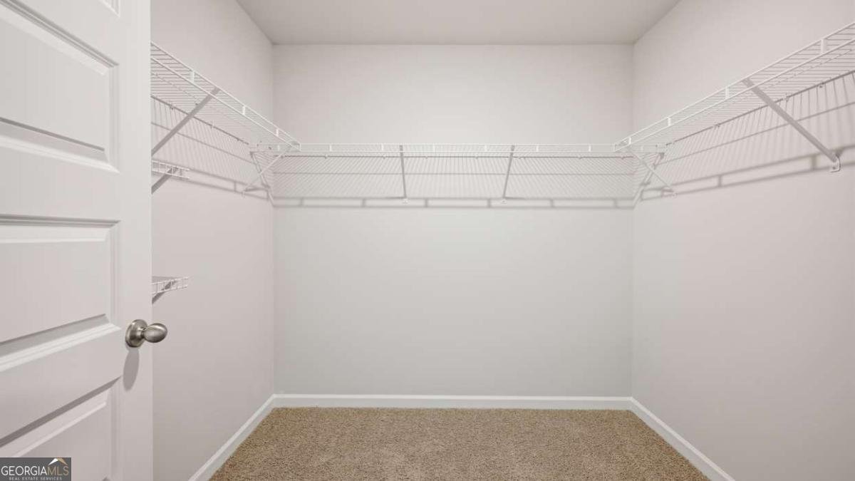 500 Whitman Lane Stockbridge - Photo 28