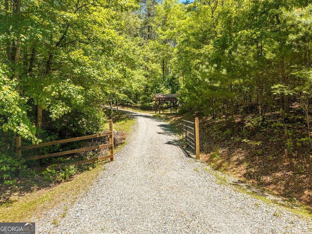 284 The Woods Road Mineral Bluff - Photo 32