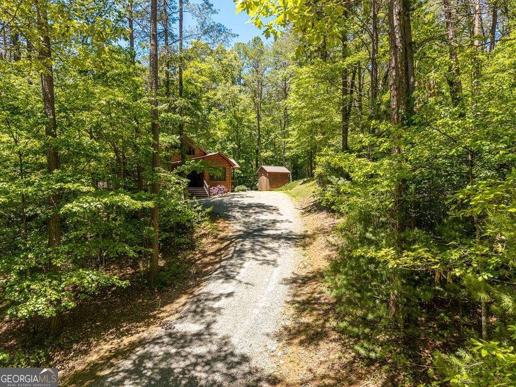 284 The Woods Road Mineral Bluff - Photo 34