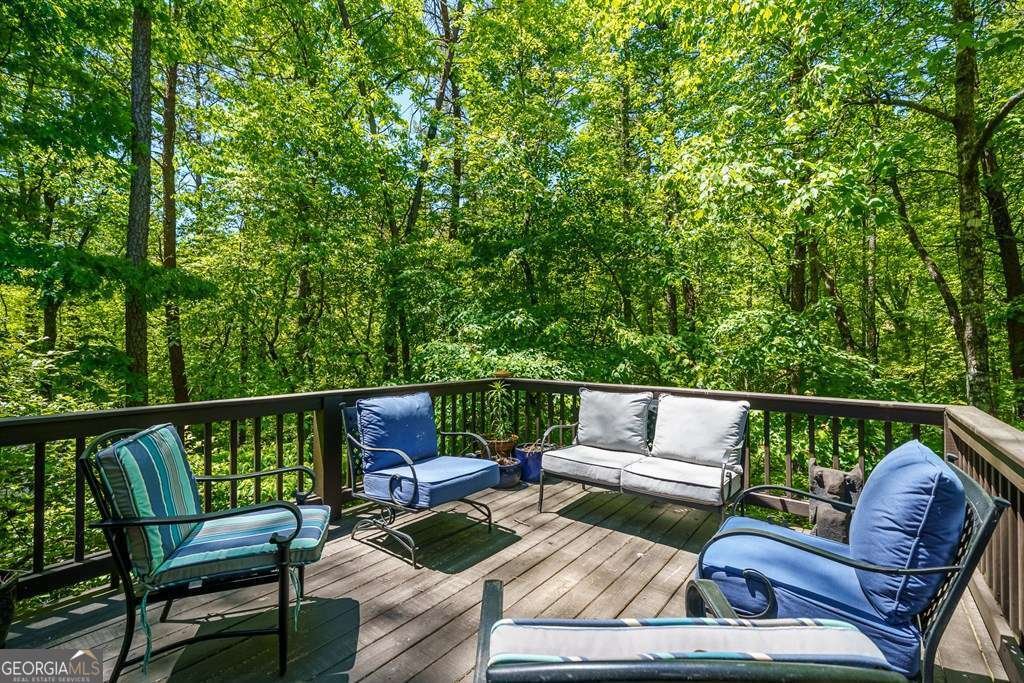 284 The Woods Road Mineral Bluff - Photo 41