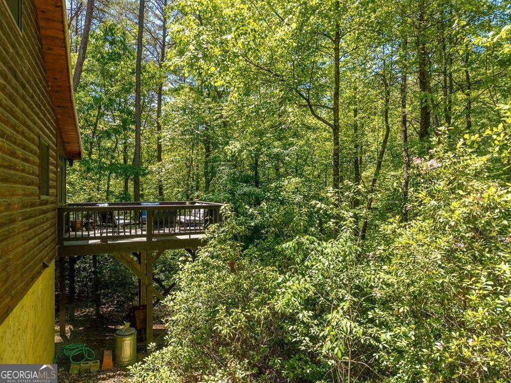 284 The Woods Road Mineral Bluff - Photo 48