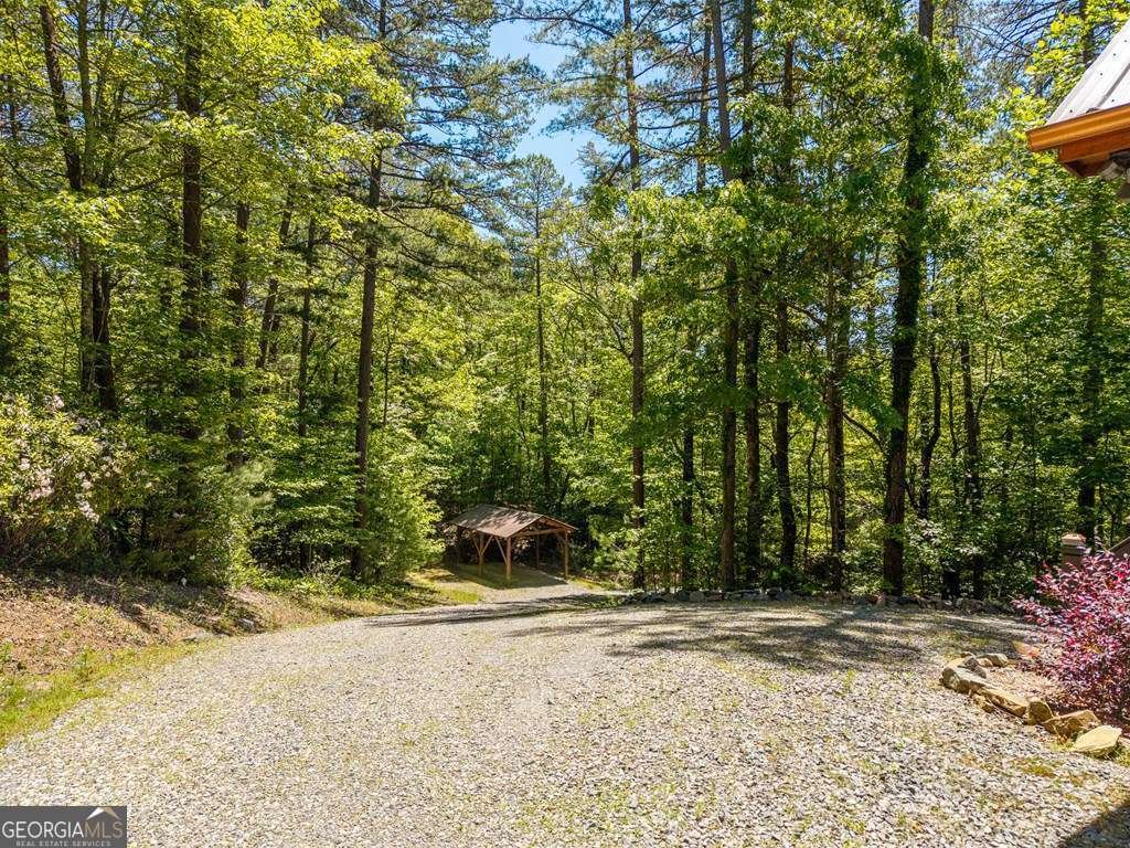 284 The Woods Road Mineral Bluff - Photo 49