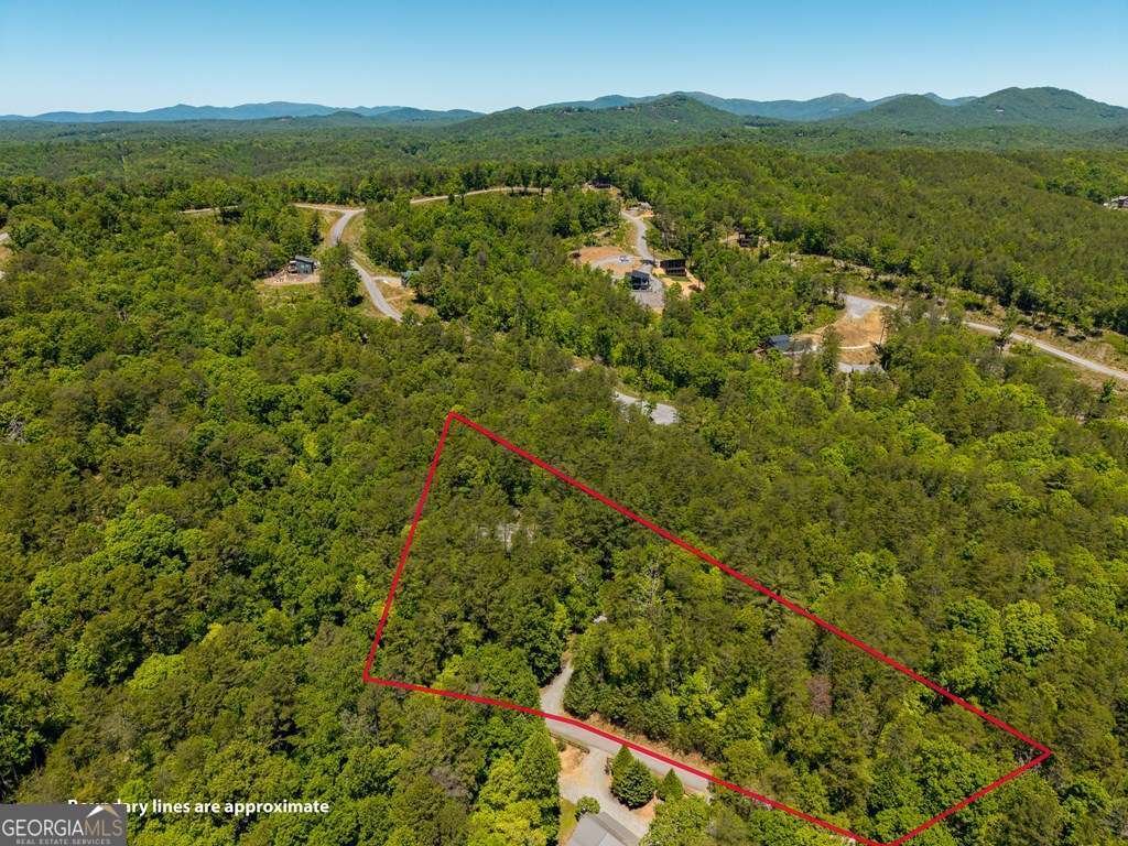284 The Woods Road Mineral Bluff - Photo 50