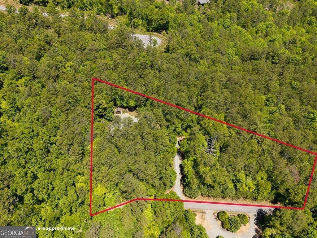 284 The Woods Road Mineral Bluff - Photo 51