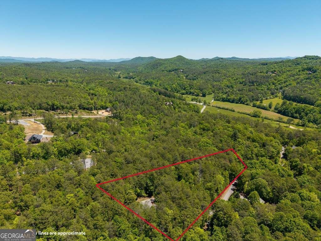 284 The Woods Road Mineral Bluff - Photo 54