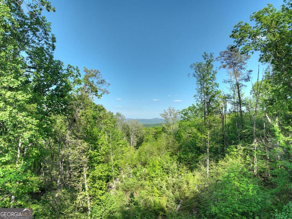 840 Deer Crest Road Blue Ridge - Photo 48