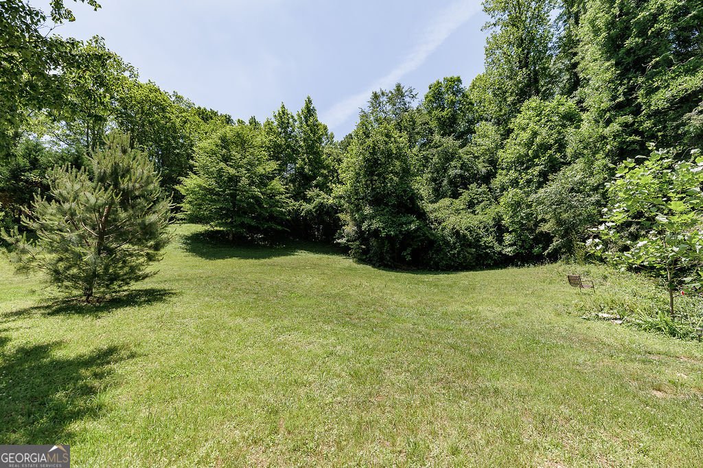 27 Tall Oak Lane Clarkesville - Photo 48