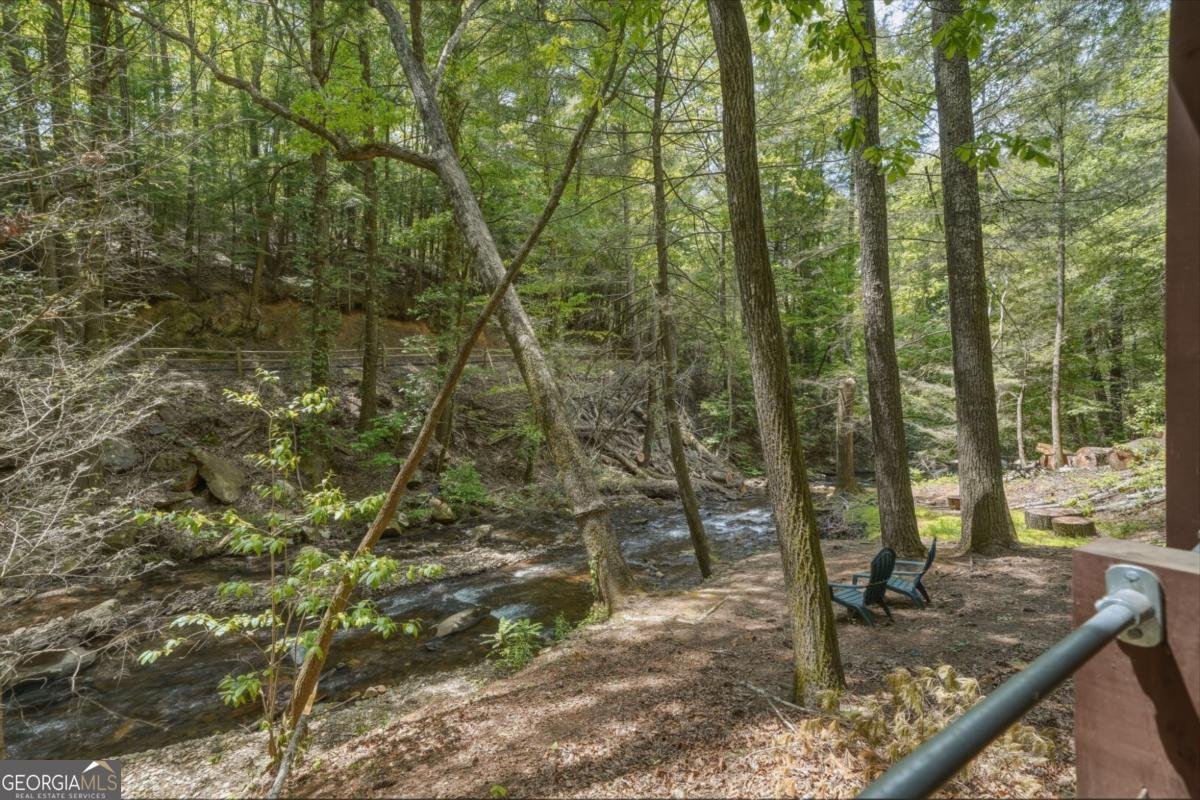 53 Laurel Ridge Drive Ellijay - Photo 31