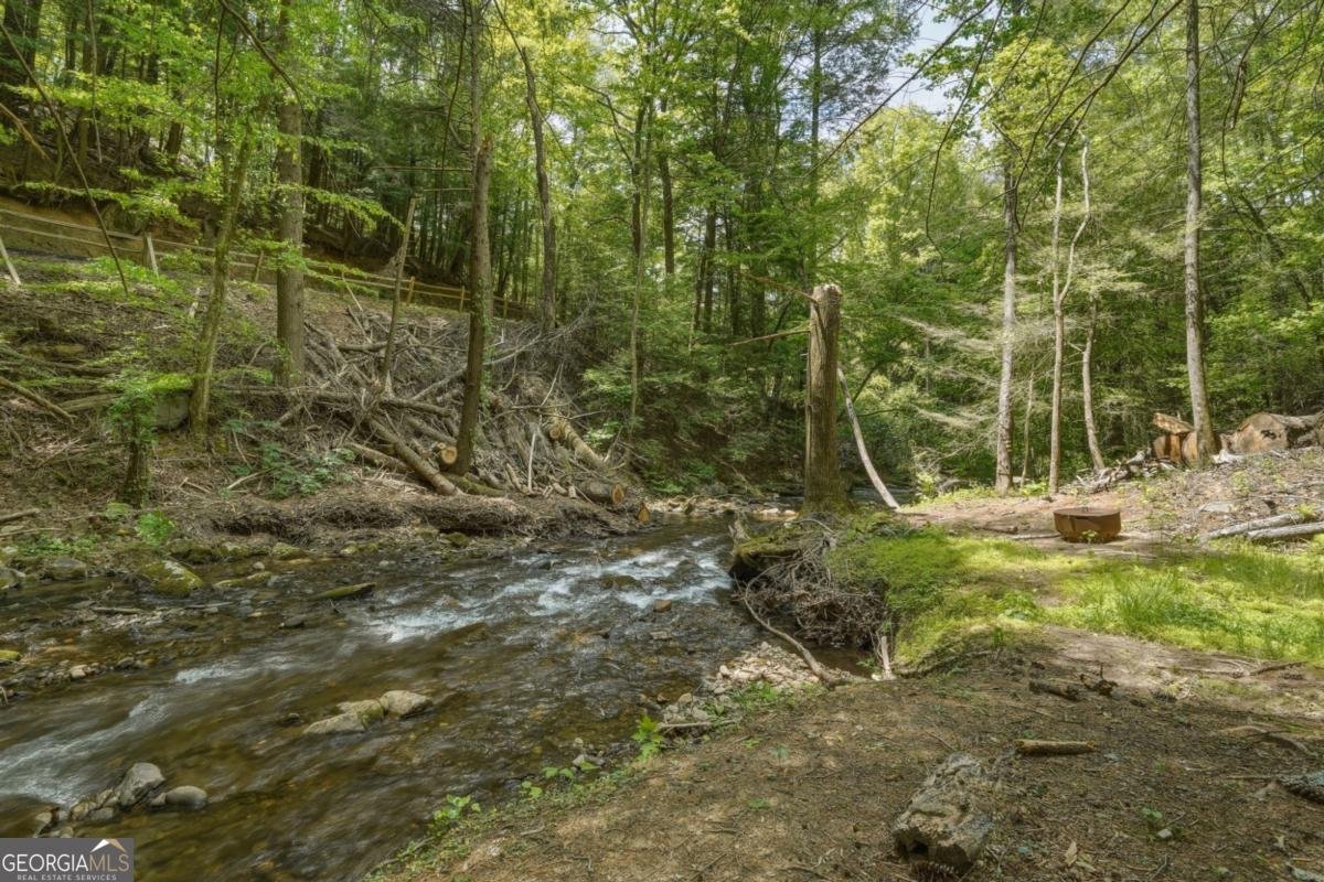 53 Laurel Ridge Drive Ellijay - Photo 32