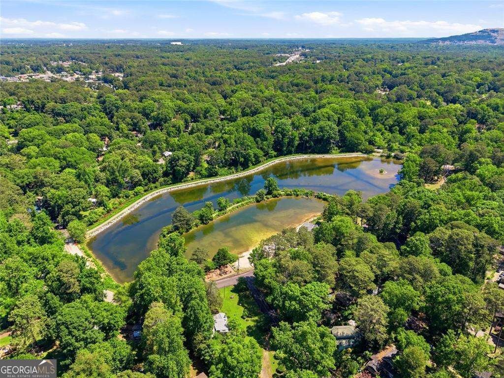 439 Oak Drive Stone Mountain - Photo 28