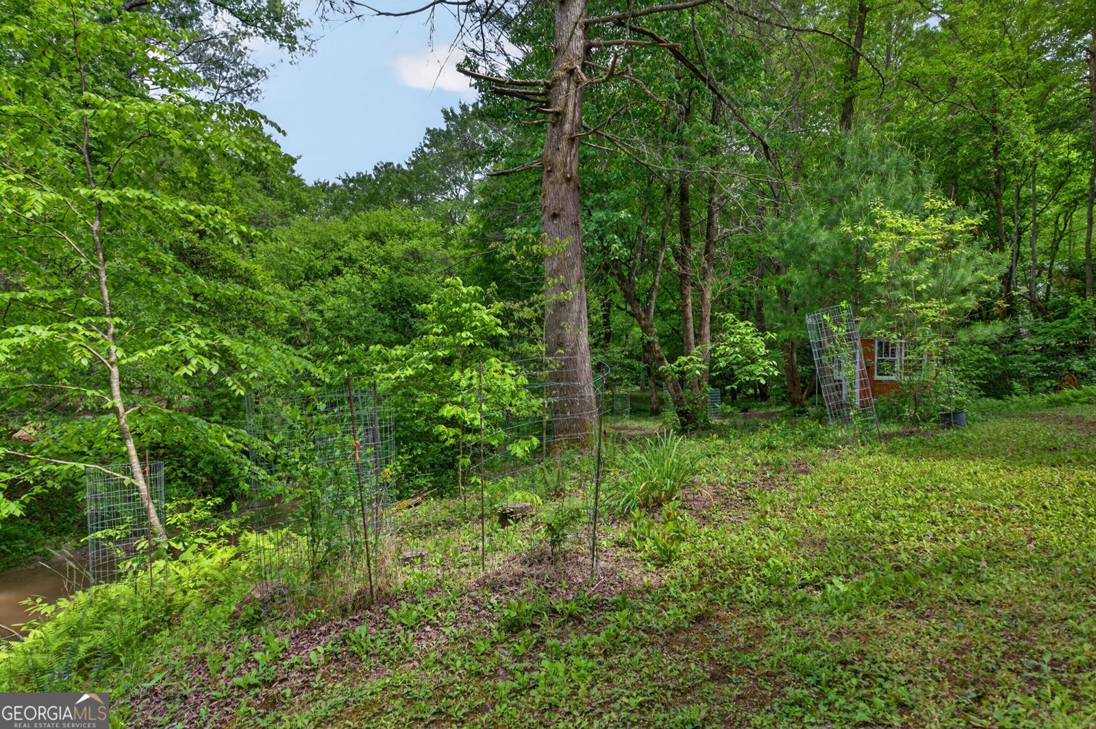481 Johns Ridge Rd. Blue Ridge - Photo 61