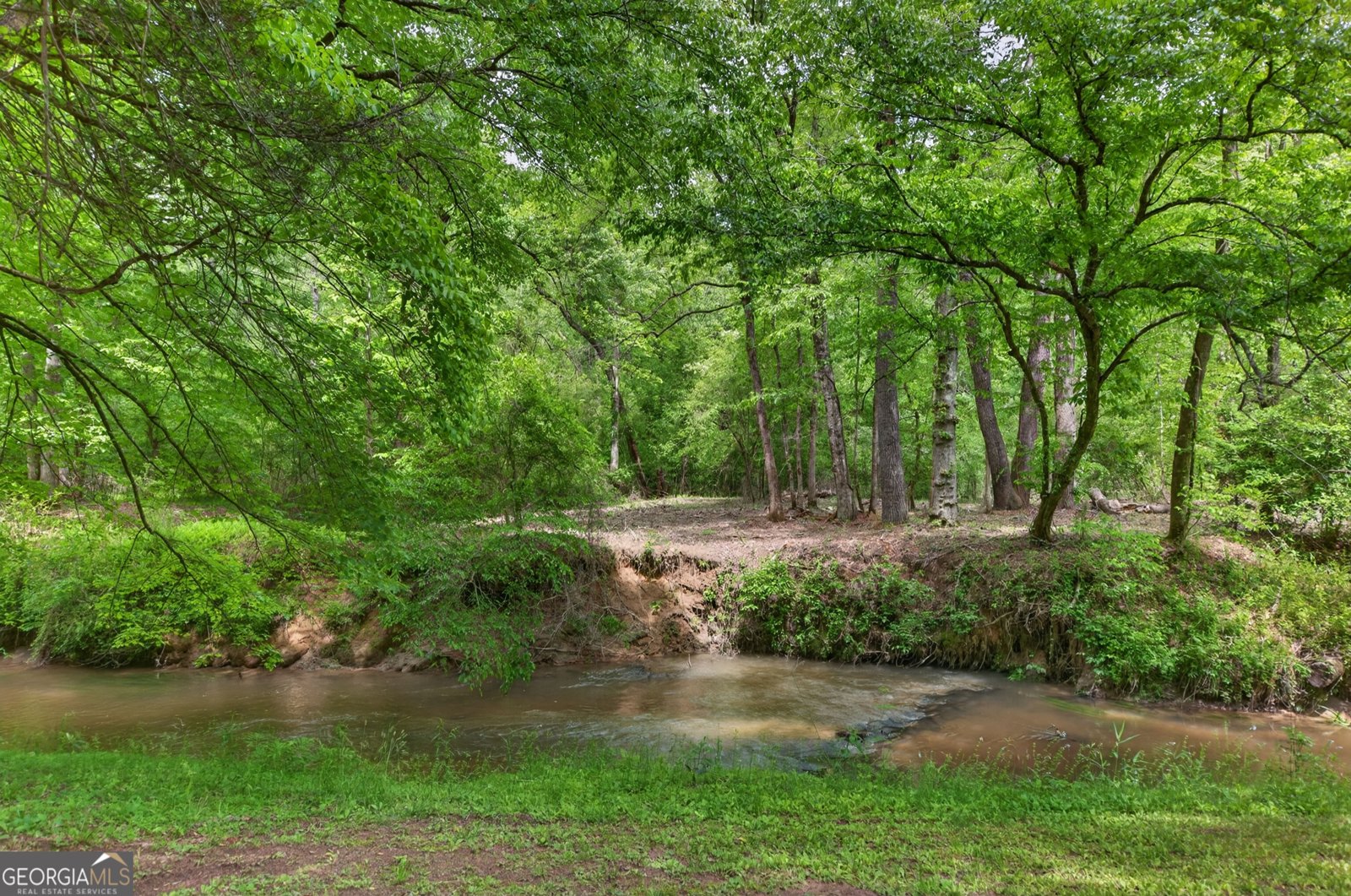 481 Johns Ridge Rd. Blue Ridge - Photo 63