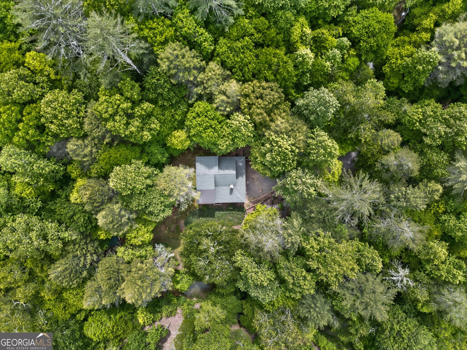 481 Johns Ridge Rd. Blue Ridge - Photo 68