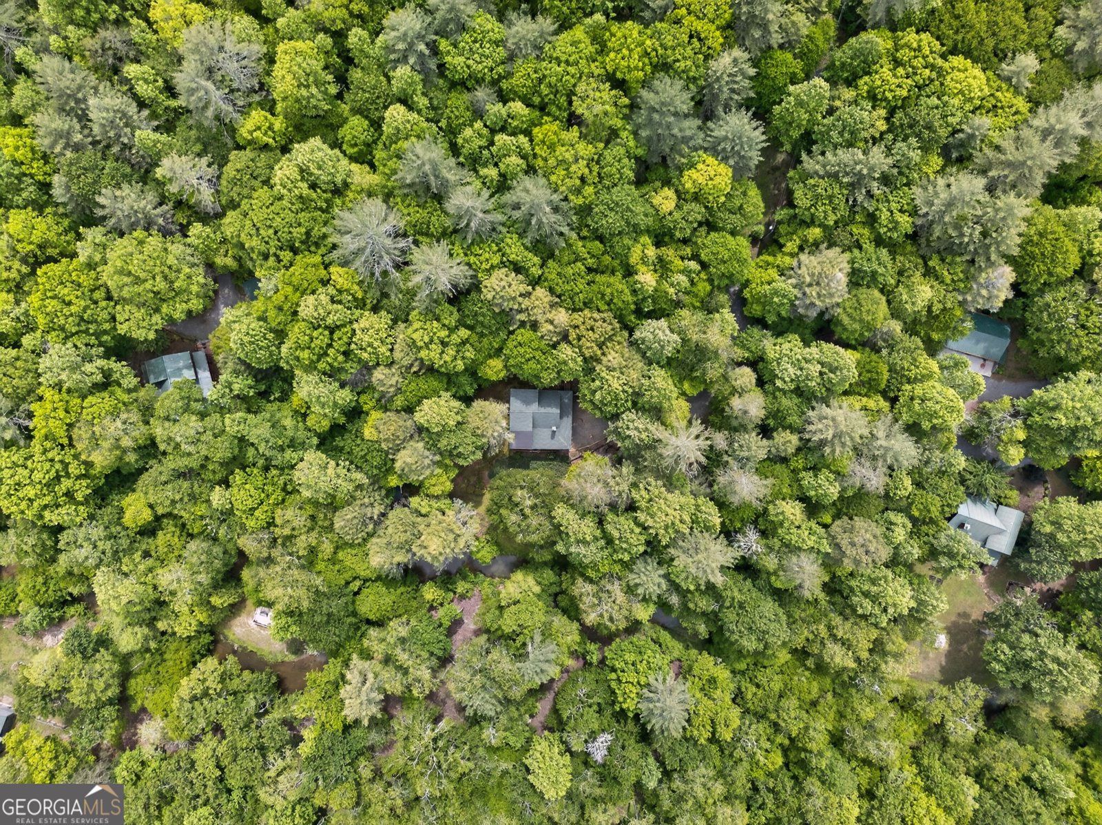 481 Johns Ridge Rd. Blue Ridge - Photo 69