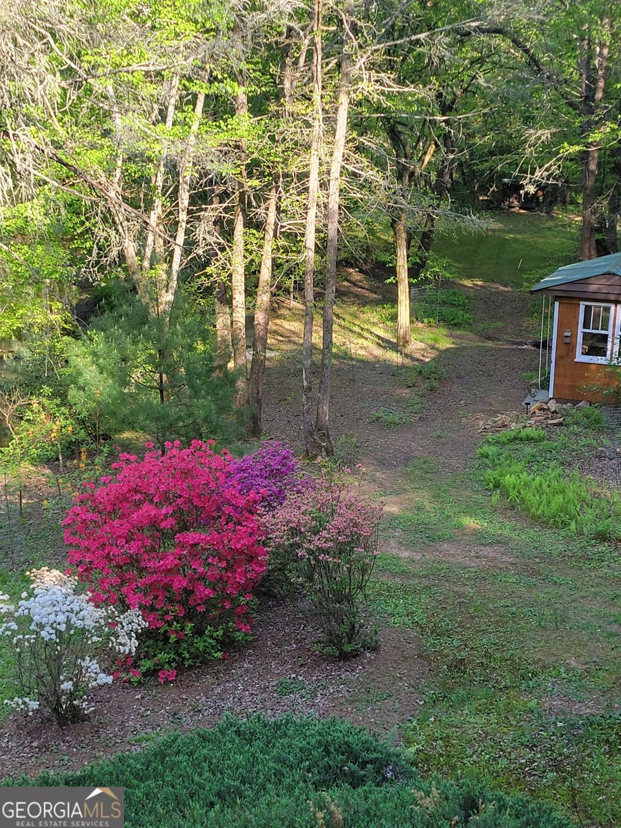 481 Johns Ridge Rd. Blue Ridge - Photo 70