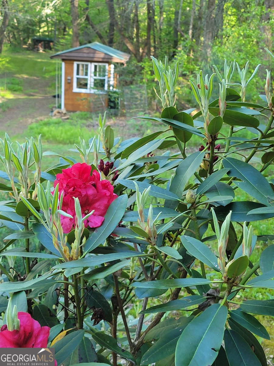 481 Johns Ridge Rd. Blue Ridge - Photo 71