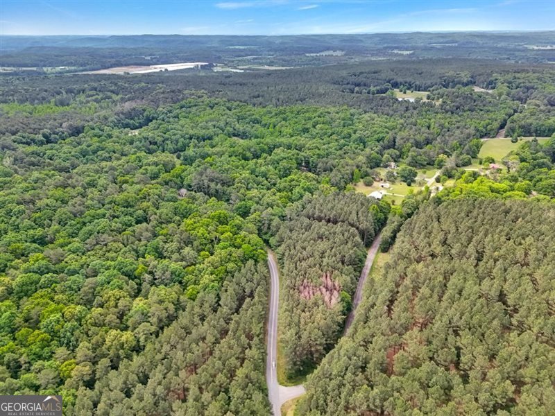 418 Campbell Road Cedartown - Photo 48