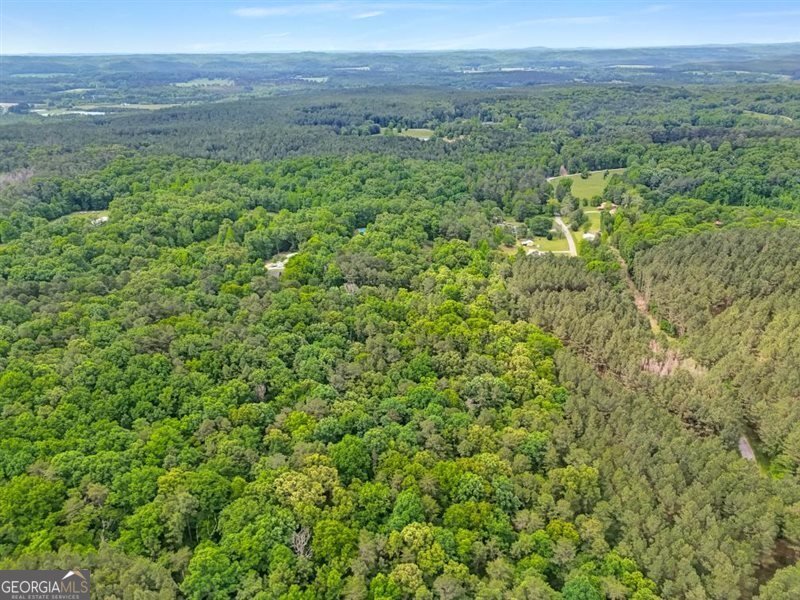 418 Campbell Road Cedartown - Photo 49