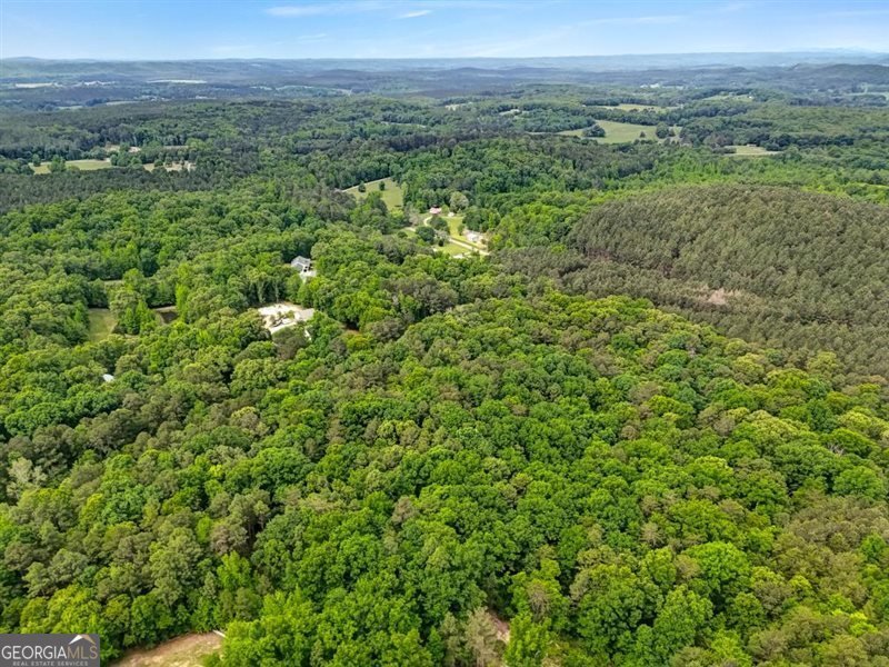 418 Campbell Road Cedartown - Photo 50