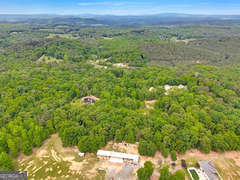 418 Campbell Road Cedartown - Photo 51