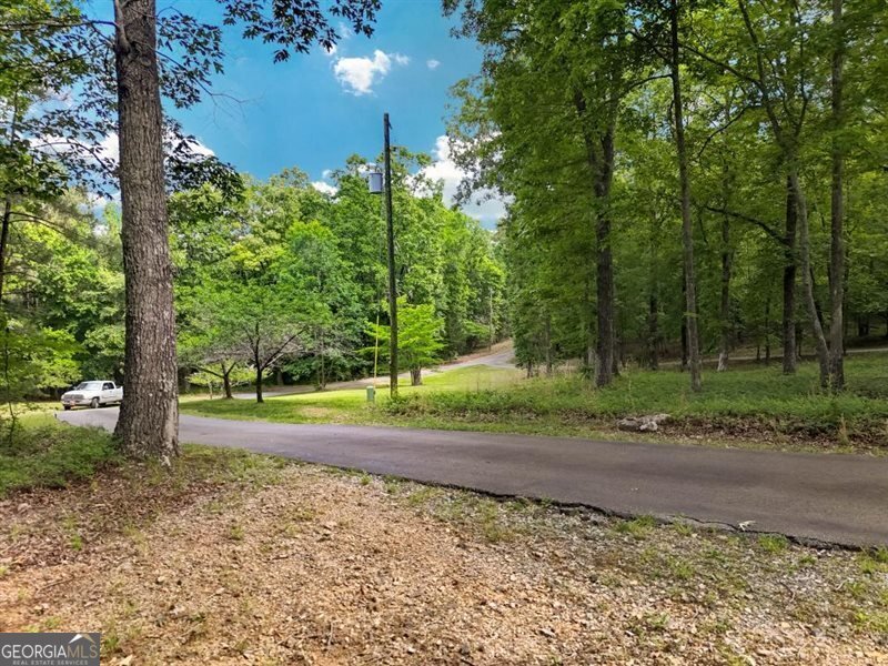 418 Campbell Road Cedartown - Photo 56