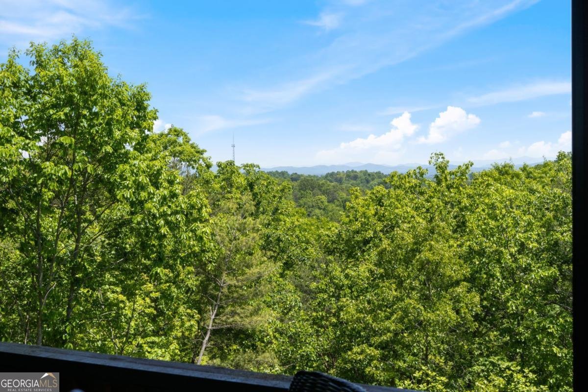 161 Huntington Way Blue Ridge - Photo 59