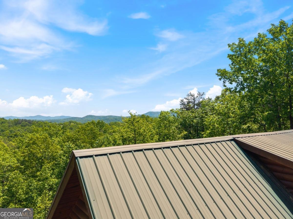 161 Huntington Way Blue Ridge - Photo 60