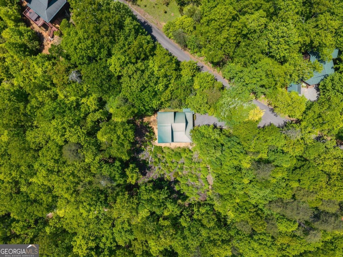 161 Huntington Way Blue Ridge - Photo 61