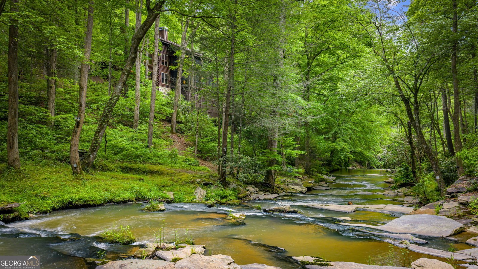 4396 Highway 382 Ellijay - Photo 73