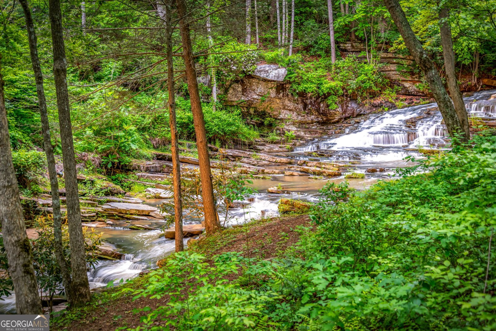 4396 Highway 382 Ellijay - Photo 77