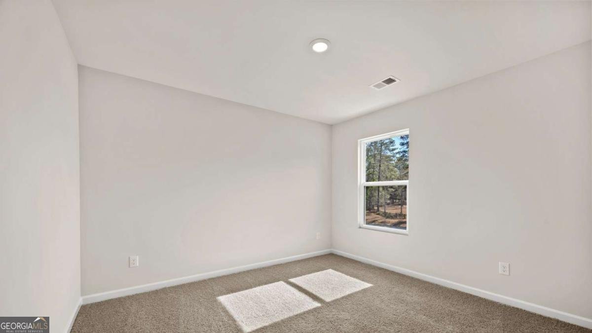 504 Whitman Lane Stockbridge - Photo 19