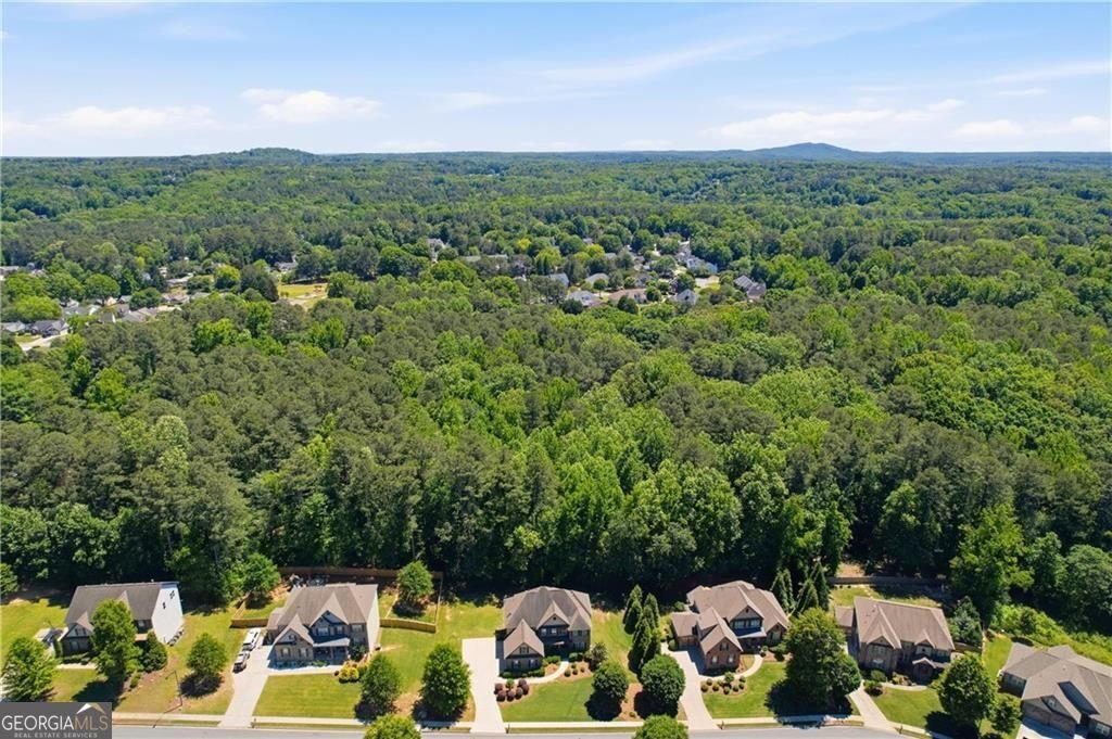 2811 Magnolia Creek Drive Kennesaw - Photo 51