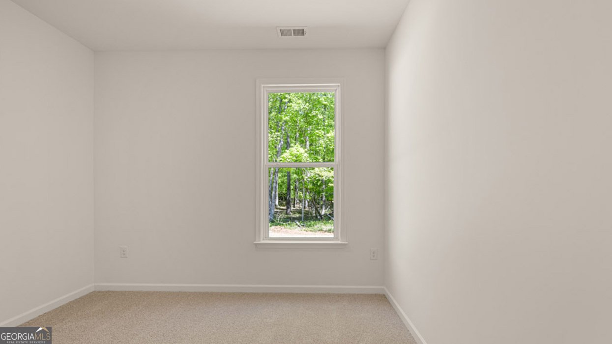 13223 Tolstoy Drive Covington - Photo 11