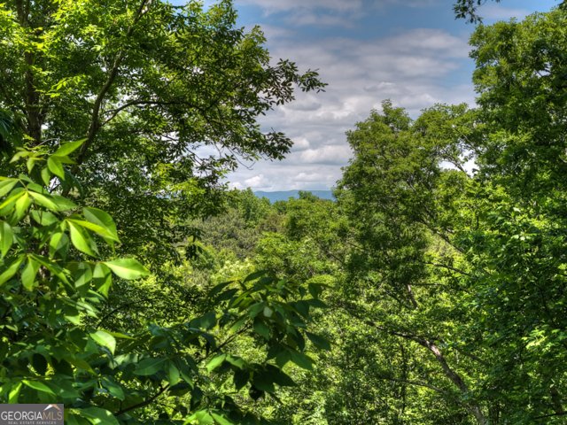 565 Catawba Circle Ellijay - Photo 51