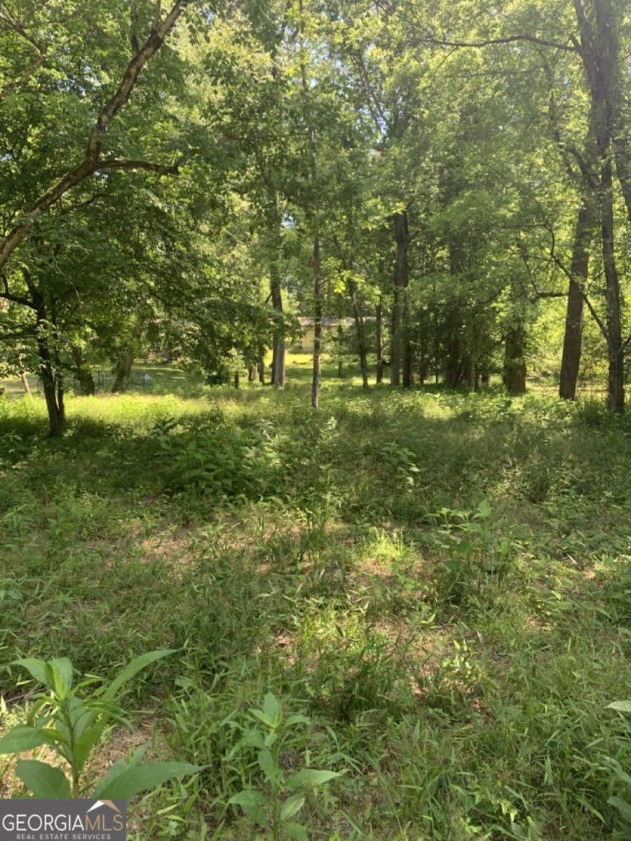 45 Valley Trail Acworth - Photo 10