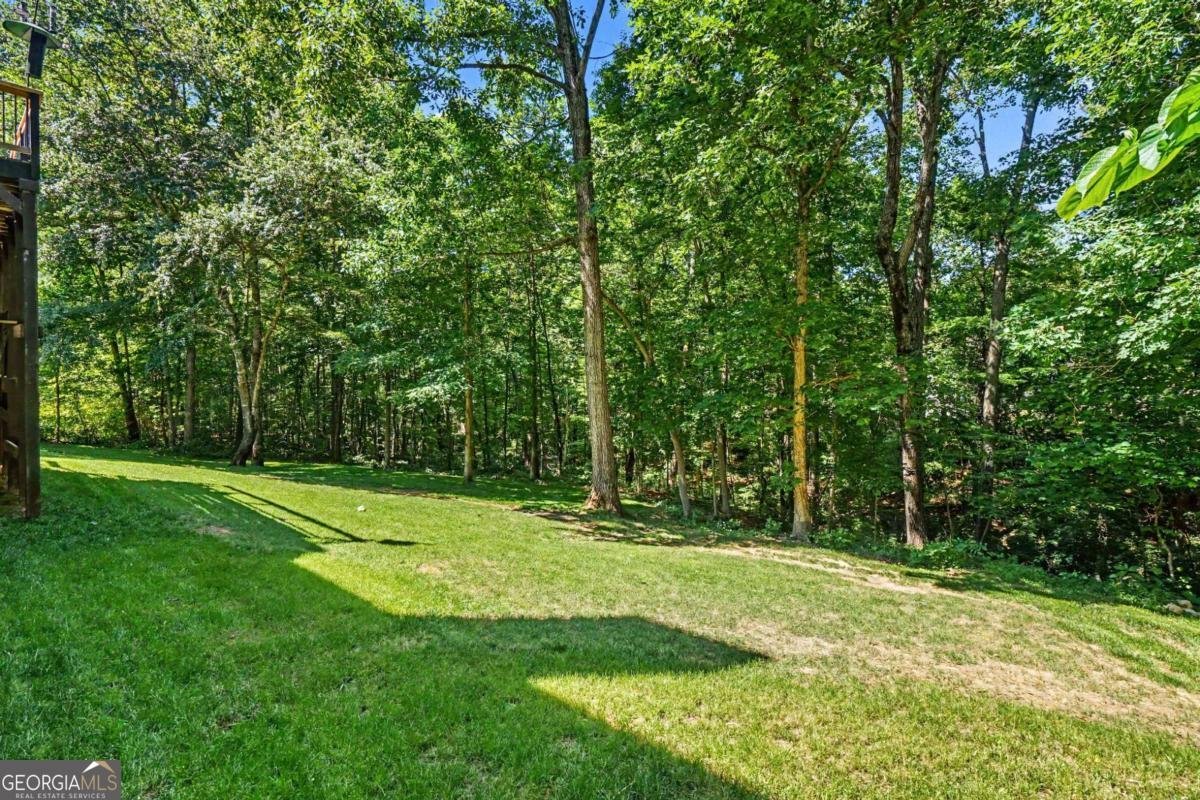 255 Amberbrook Circle Grayson - Photo 46