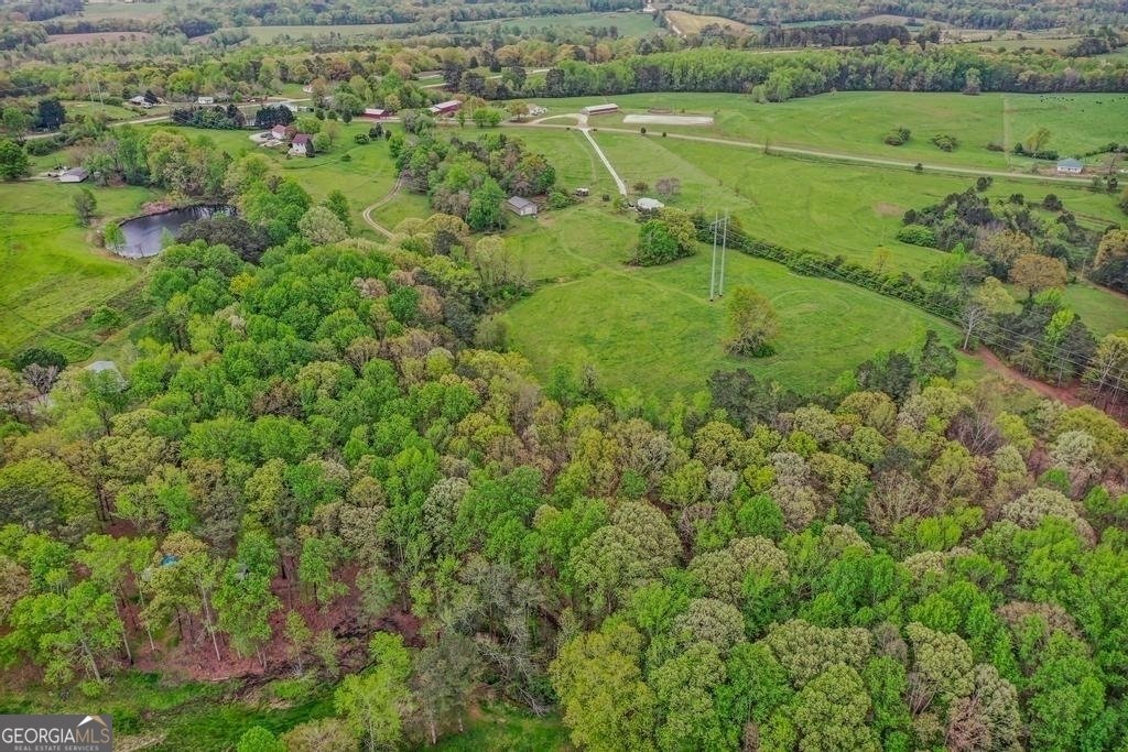 80 UPPER CALDWELL Road Bowdon - Photo 28