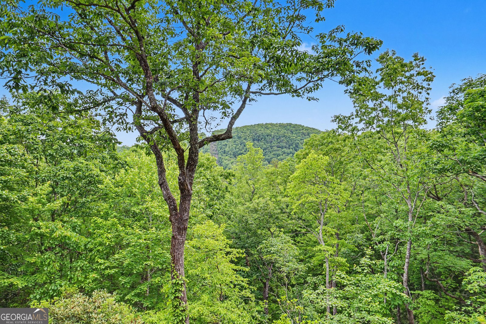 481 Top O Pinnacle Drive Clayton - Photo 19