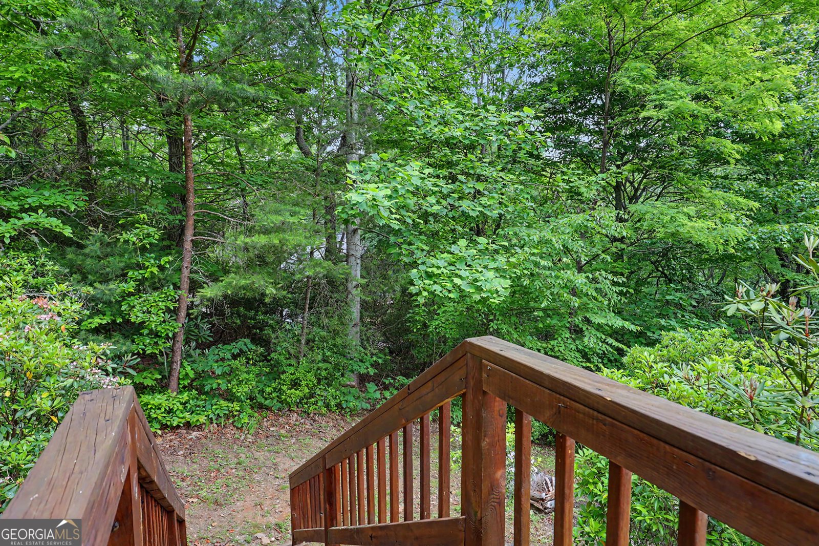 481 Top O Pinnacle Drive Clayton - Photo 60