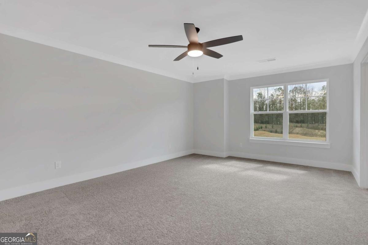 13 Trace Bluff Dawsonville - Photo 24