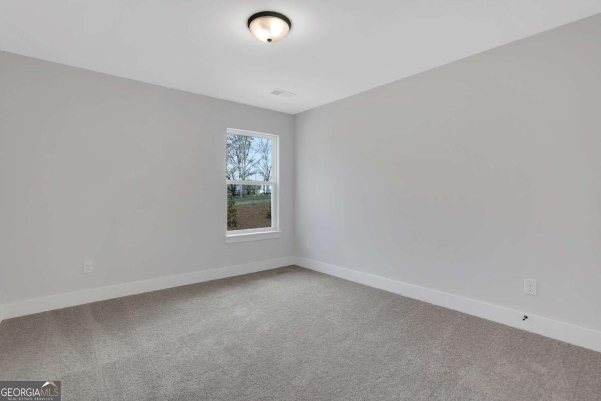 13 Trace Bluff Dawsonville - Photo 29