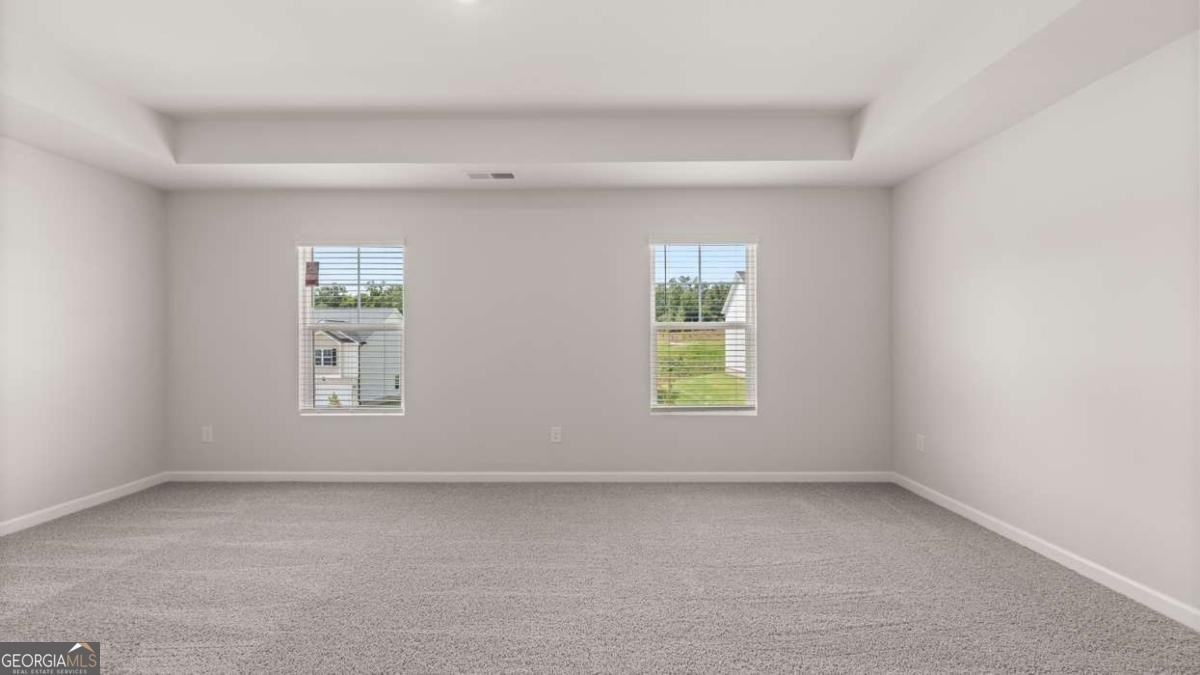 100 White Spruce Way Newnan - Photo 16